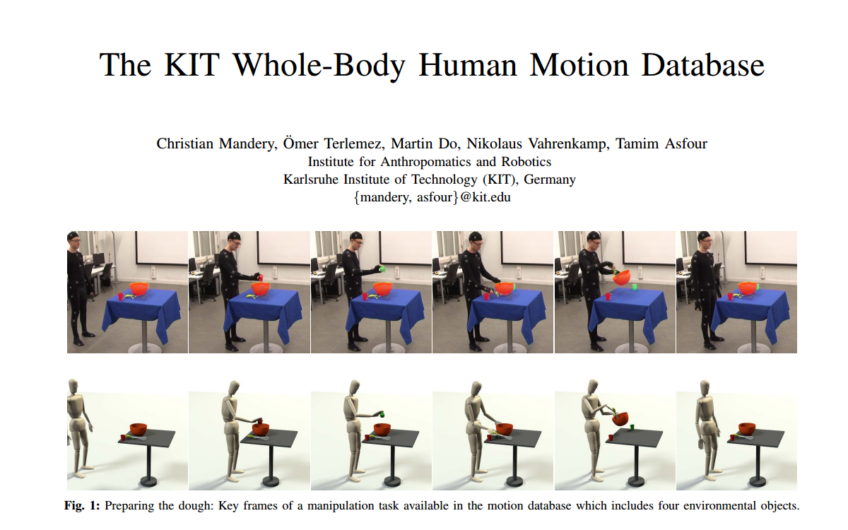 body motion research
